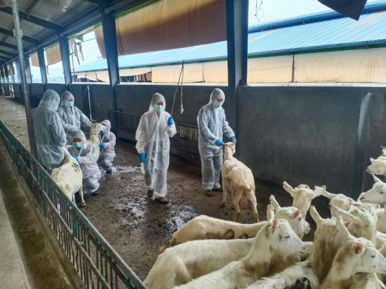 千陽縣畜產局再獲省級榮譽，產業興旺助力鄉村振興